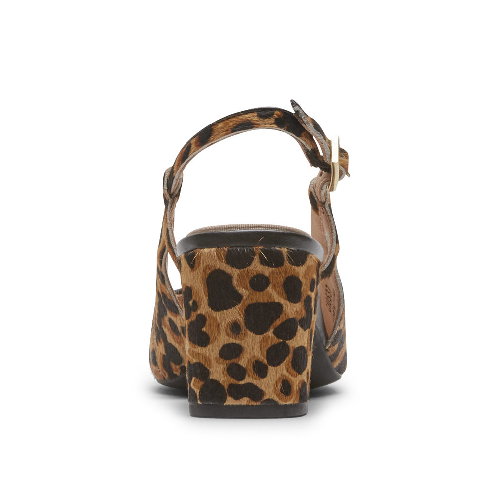 Rockport Singapore Womens Slingback - Total Motion Salima Posted Leopard - AF7439861